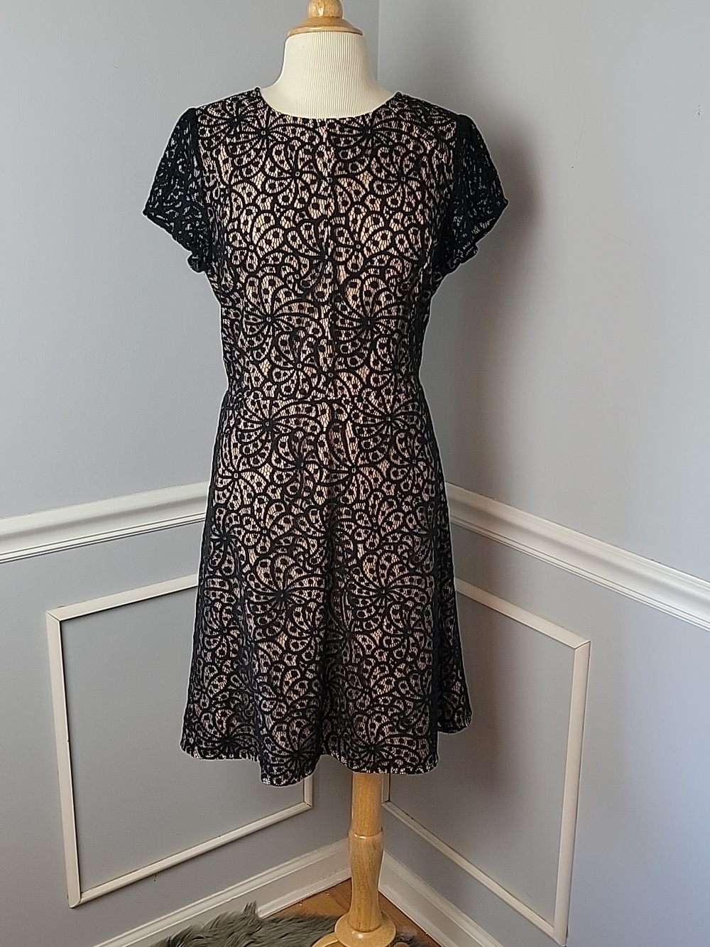 LOFT Black Nude‎ Lace Cotton Blend Cap Sleeve Fit Flare Party Wedding Dress 12